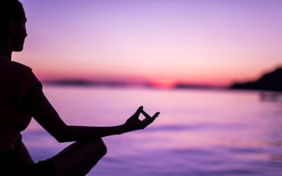 Mindfulness Online per Privati e Organizzazioni aziendali